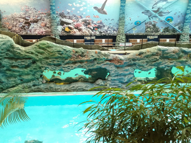 スパリゾートハワイアンズ(福島県/いわき市)