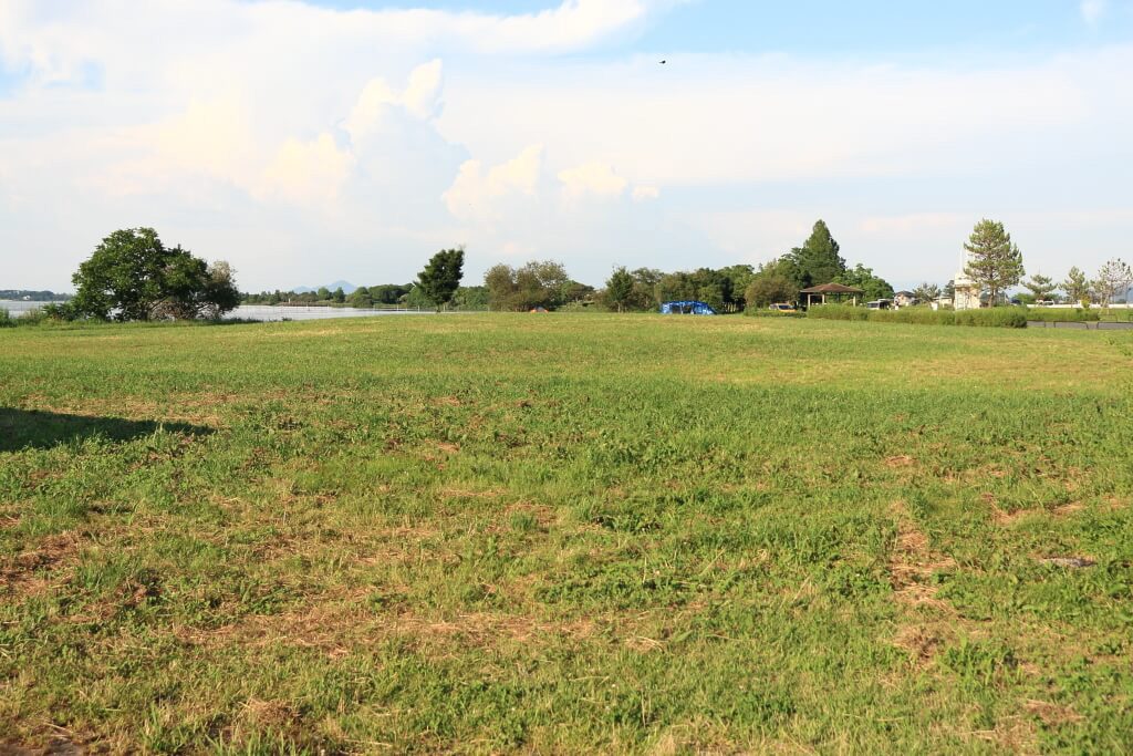 広々とした志那-1は湖岸緑地の中で一番人気/滋賀県営都市公園湖岸緑地
