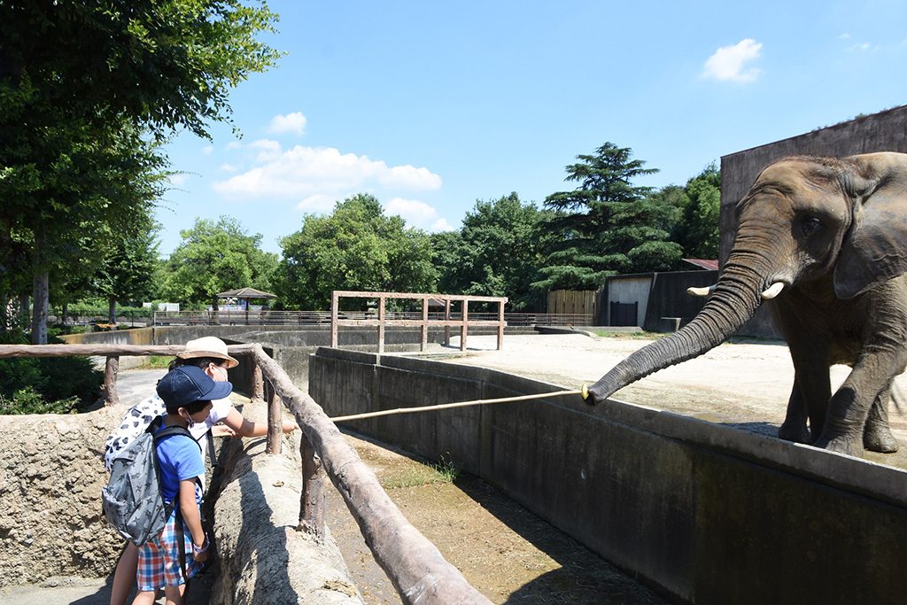 東武動物公園（埼玉県/宮代町）