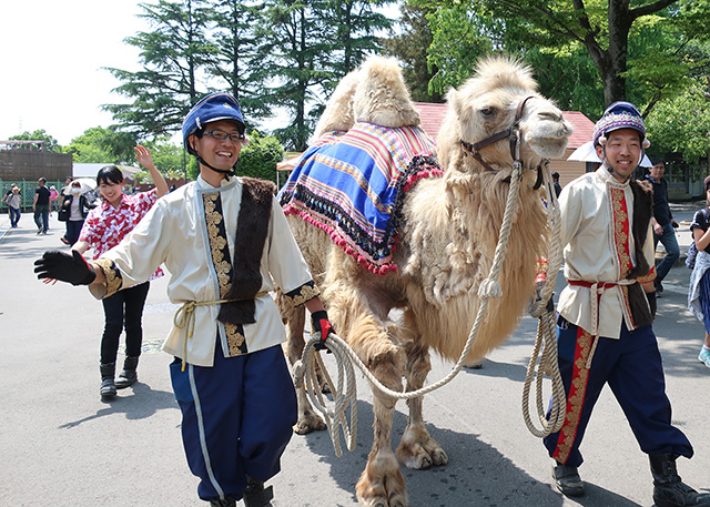 ふれあい動物パレードの様子/東武動物公園（埼玉県/宮代町）