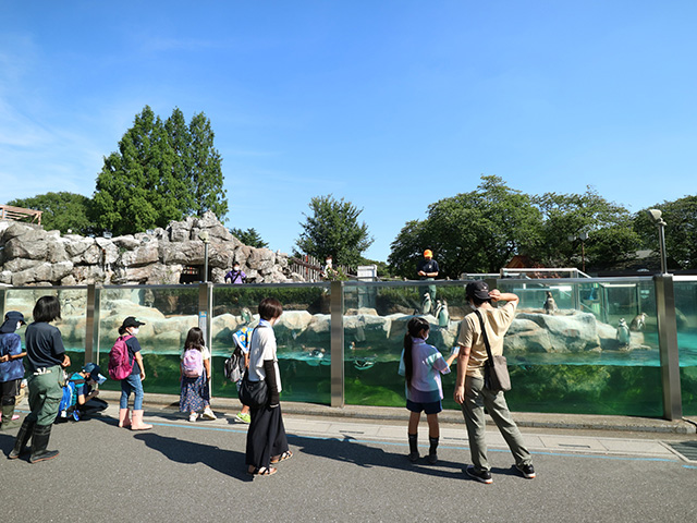 ペンギントークの様子/東武動物公園（埼玉県/宮代町）