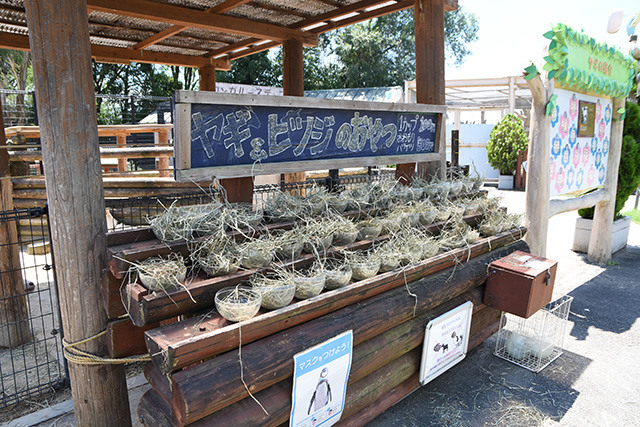 ヤギ／ヒツジのえさ/東武動物公園（埼玉県/宮代町）