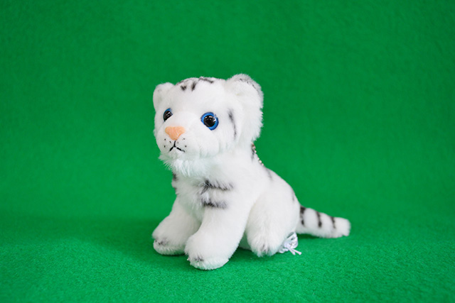 ホワイトタイガーのぬいぐるみ/東武動物公園（埼玉県/宮代町）