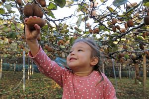 関東の味覚狩りスポット。キウイフルーツ狩りや芋掘り、収穫野菜でバーベキューも
