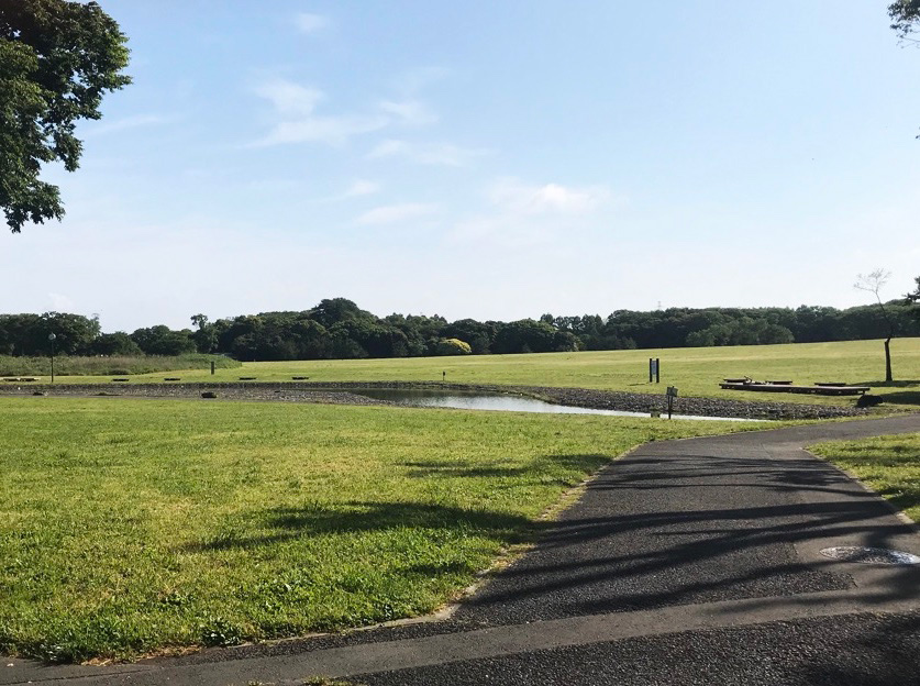 「中央広場」／水元公園（東京都／葛飾区）