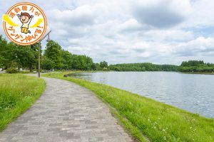 芝生や遊具、生き物や植物観察など、いろいろな遊び方ができる水元公園(葛飾区)