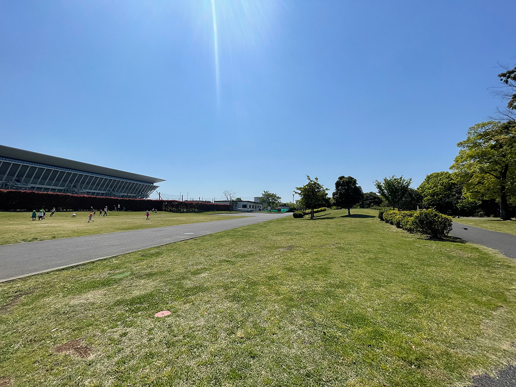 「芝生の広場」／辰巳の森海浜公（東京都／江東区）