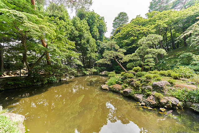 「次郎弁天池」/殿ヶ谷戸庭園(東京都/国分寺市)