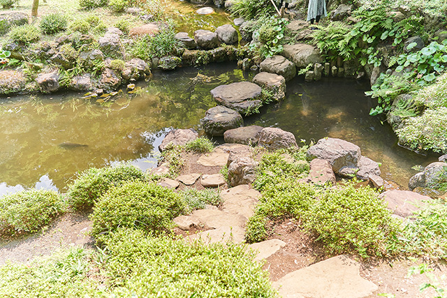 「次郎弁天池」/殿ヶ谷戸庭園(東京都/国分寺市)