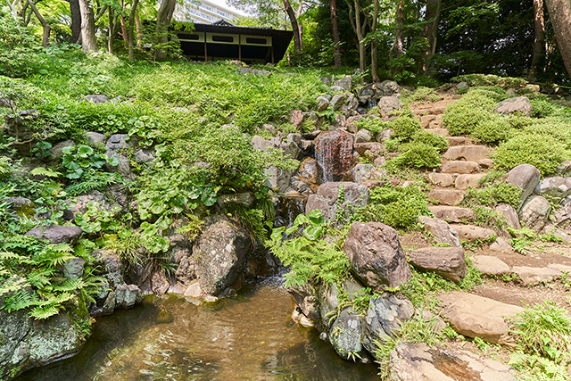 「次郎弁天池」/殿ヶ谷戸庭園(東京都/国分寺市)