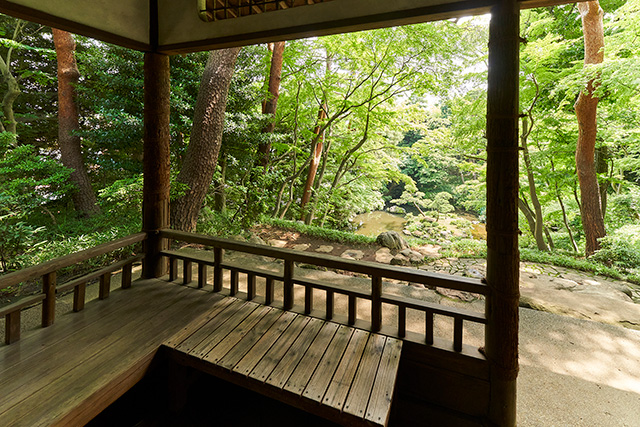 「見晴らし台」/殿ヶ谷戸庭園(東京都/国分寺市)