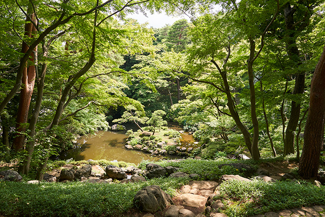 「見晴らし台から見た風景」/殿ヶ谷戸庭園(東京都/国分寺市)