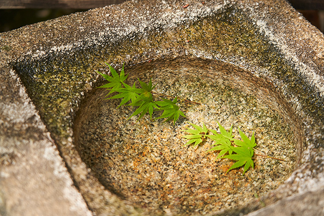 「紅葉亭」/殿ヶ谷戸庭園(東京都/国分寺市)