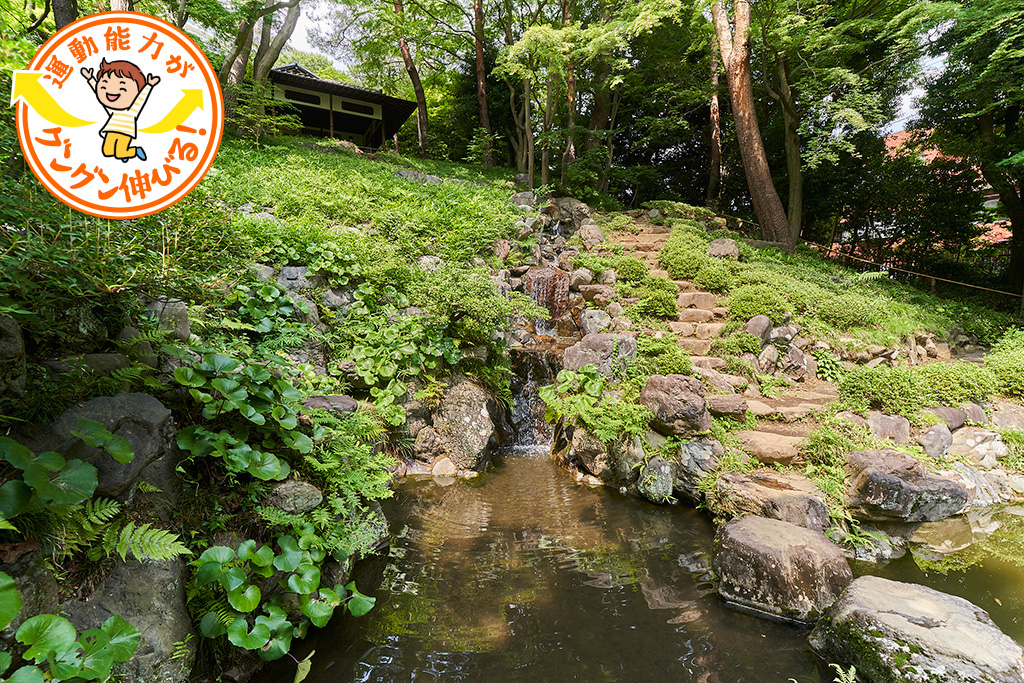 起伏ある殿ヶ谷戸庭園（国分寺市）は自然たっぷりで、小さな子どもとの散策に最適