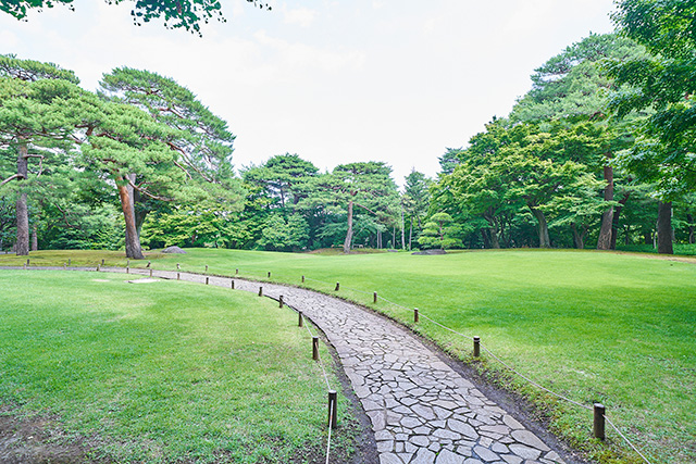 「大芝生」/殿ヶ谷戸庭園(東京都/国分寺市)
