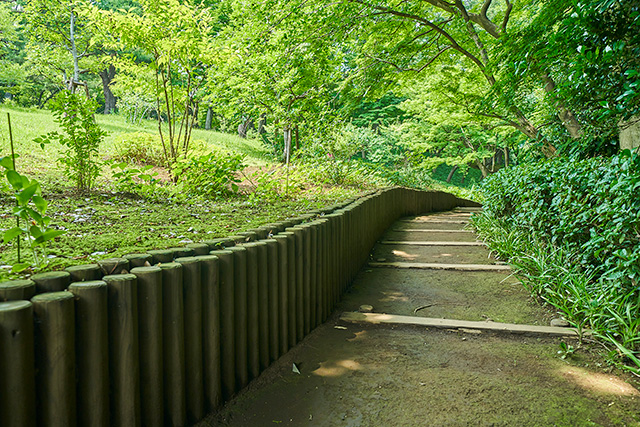 「花木園」/殿ヶ谷戸庭園(東京都/国分寺市)