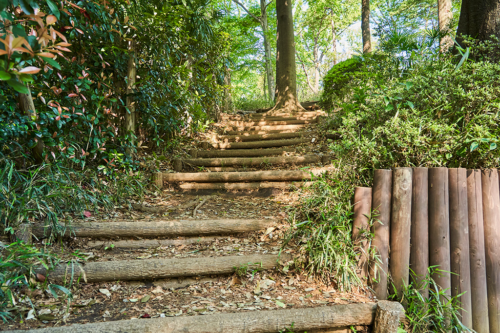 「階段」/黒鐘公園(東京都/国分寺市)