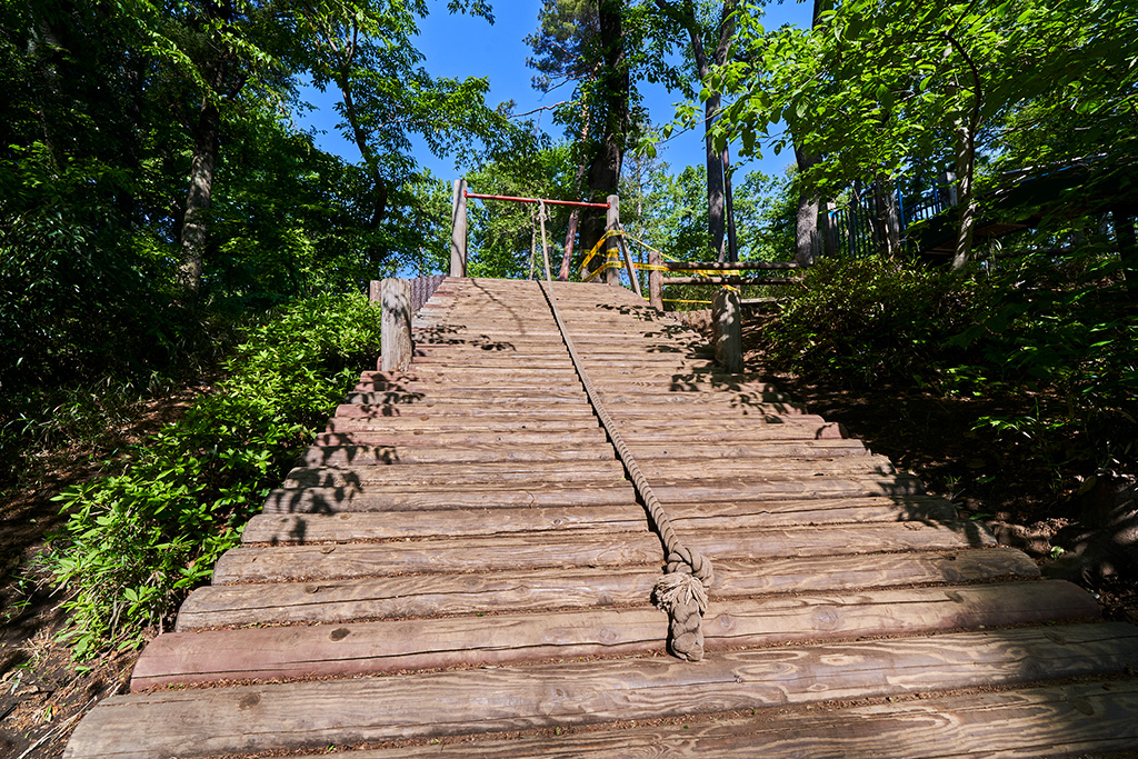 「ロープ上り」/黒鐘公園(東京都/国分寺市)