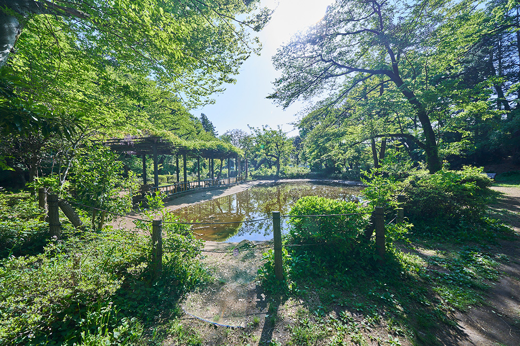 「憩いのスポット」/黒鐘公園(東京都/国分寺市)