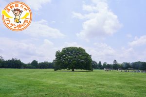 国営昭和記念公園(立川市・昭島市)には東京ドーム39個分の広さに遊具や施設がたくさん!