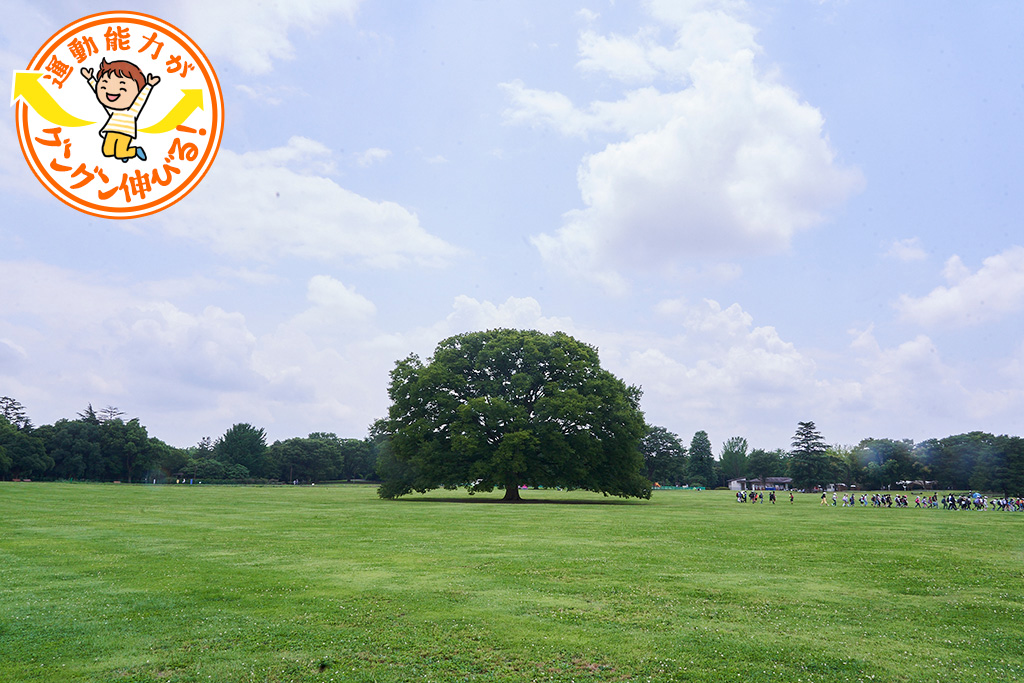 国営昭和記念公園（立川市・昭島市）には東京ドーム39個分の広さに遊具や施設がたくさん！