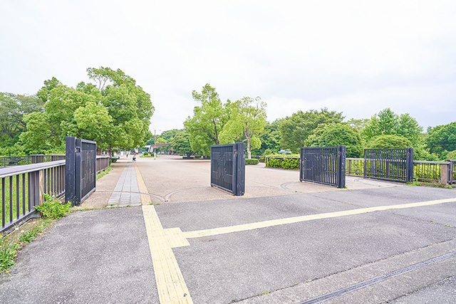 「専用通路」／国営昭和記念公園（東京都／立川市）