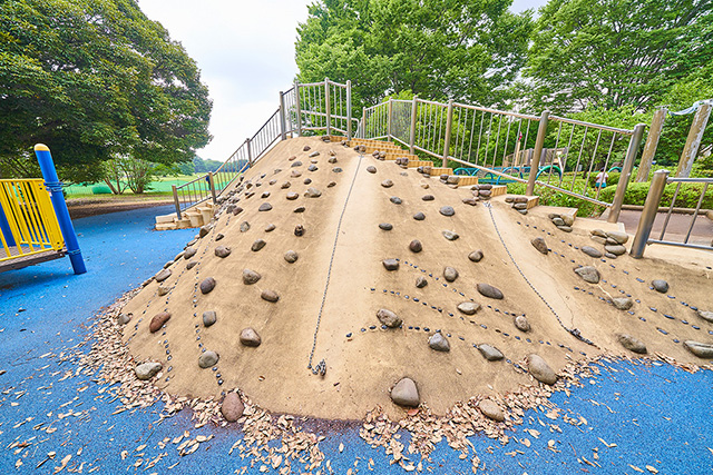 「築山」／国営昭和記念公園（東京都／立川市）