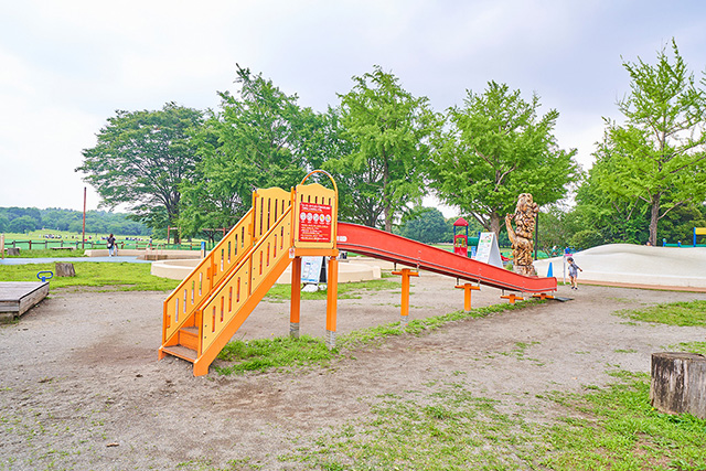 「ローラーすべり台」／国営昭和記念公園（東京都／立川市）