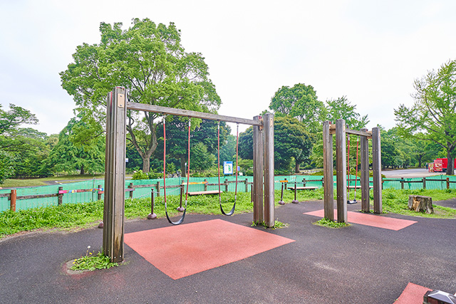 「ゆらゆらブランコ」／国営昭和記念公園（東京都／立川市）