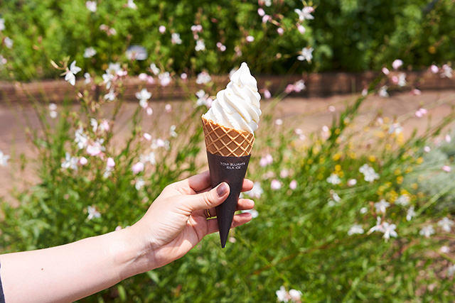 「ソフトクリーム」／国営昭和記念公園（東京都／立川市）