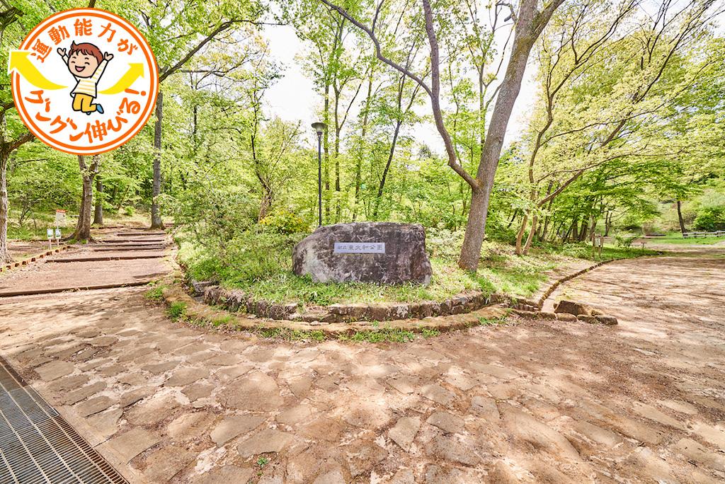 東大和公園（東大和市）は丘陵地を生かした雑木林の自然遊びが魅力