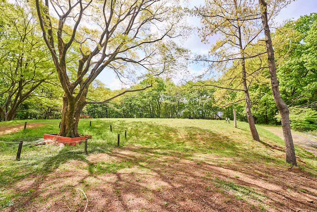「エノキ広場」/東大和公園(東京都/東大和市)