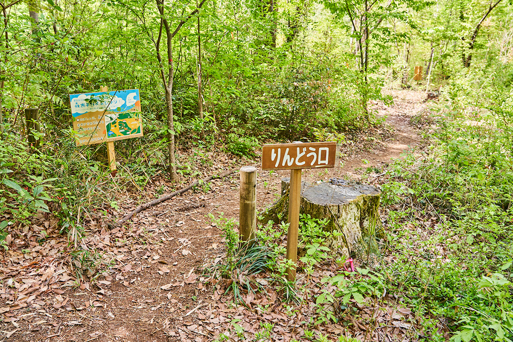 「森のあそび場」/東大和公園(東京都/東大和市)