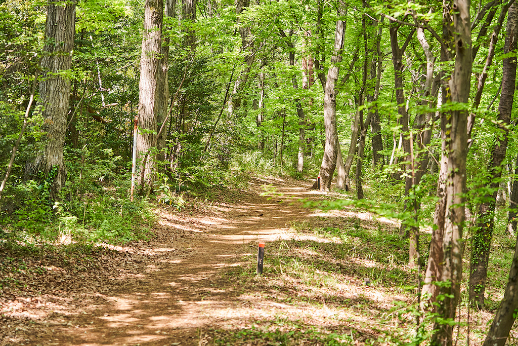「まなびのエリア」/東大和公園(東京都/東大和市)