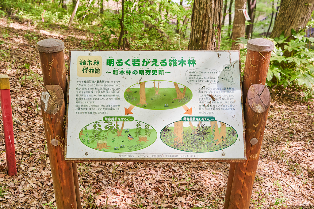 「解説板」/東大和公園(東京都/東大和市)