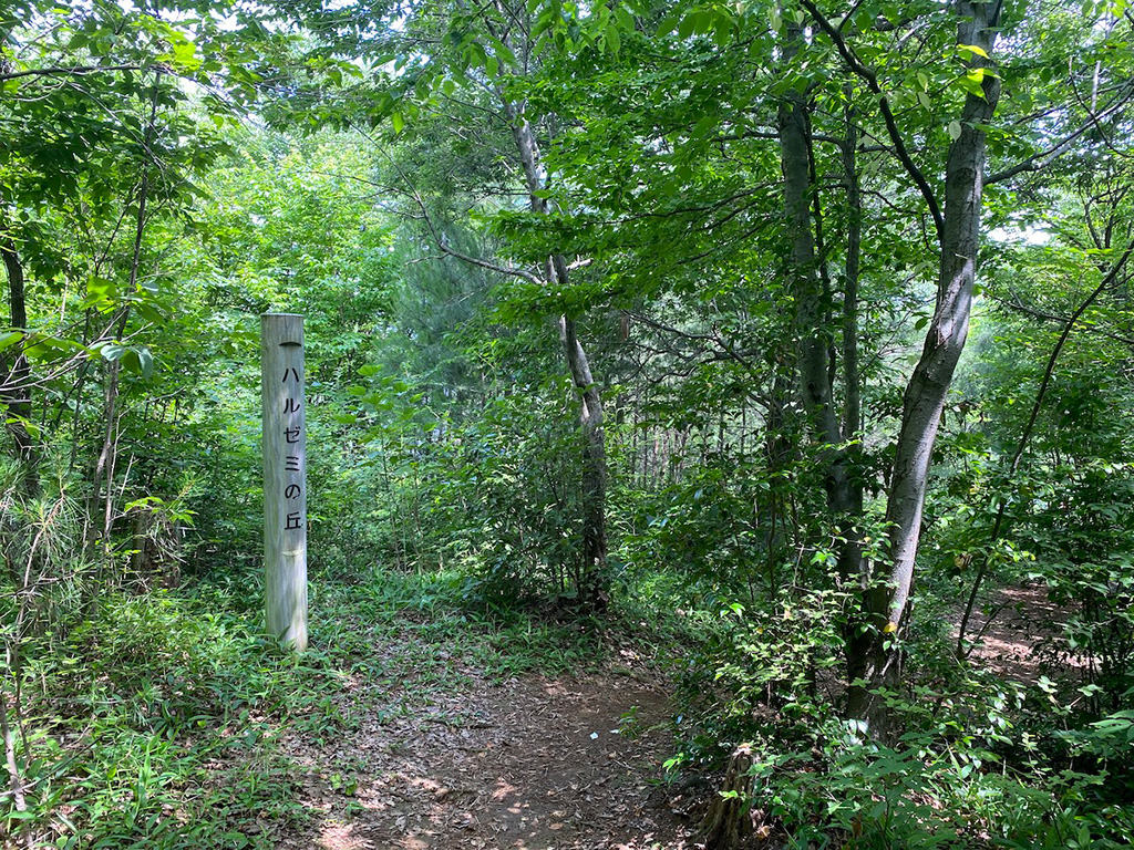 「はぐくむエリア」/東大和公園(東京都/東大和市)