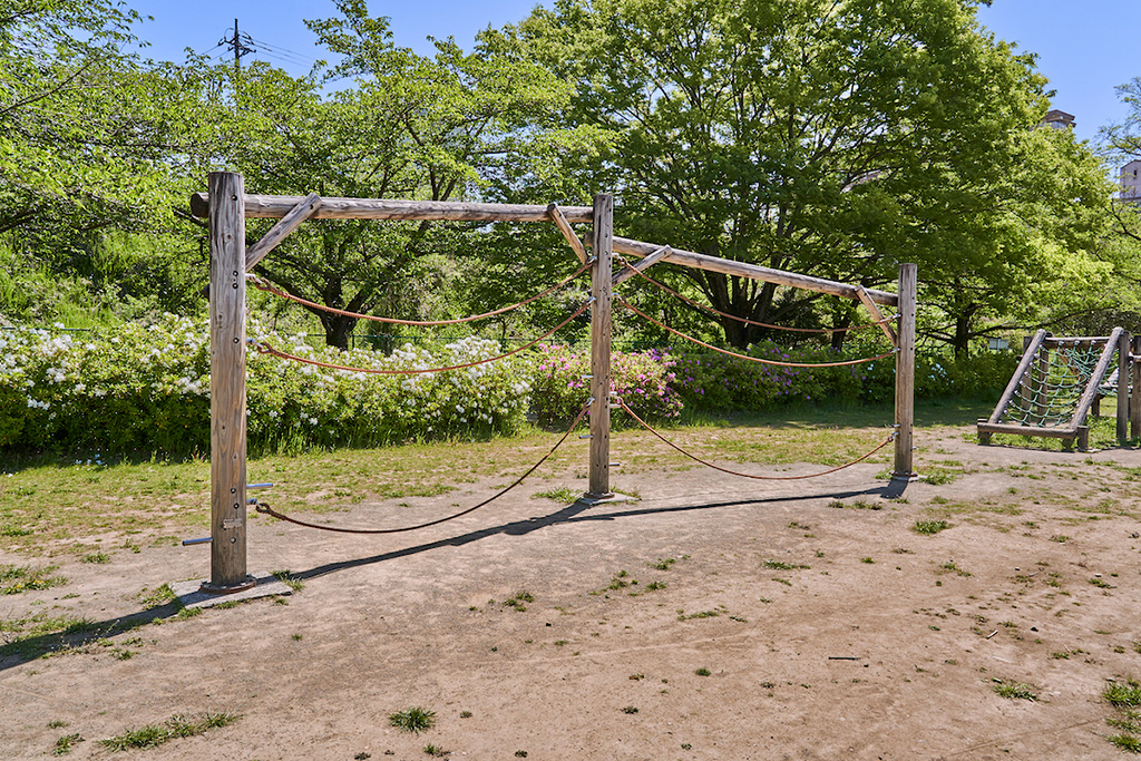 「ロープ渡り」/多摩川緑地福生南公園(東京都/福生市)