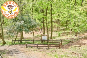 狭山緑地フィールドアスレチック(東大和市)は子どもの冒険心をくすぐる遊具がいっぱい!