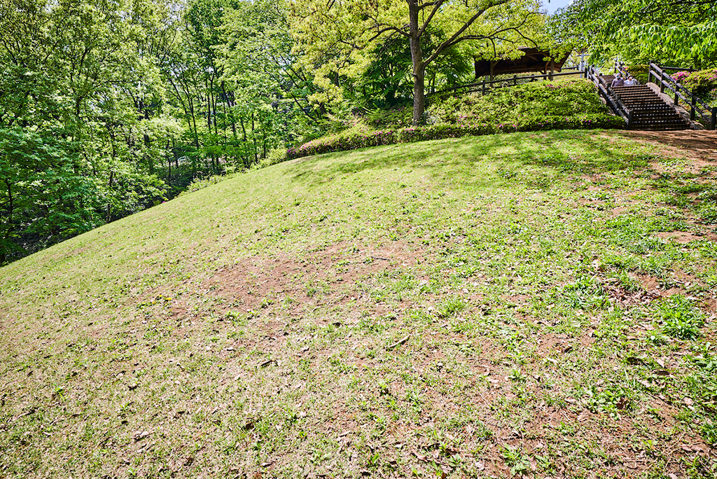 「芝生の斜面」/狭山緑地 フィールドアスレチック(東京都/東大和市)