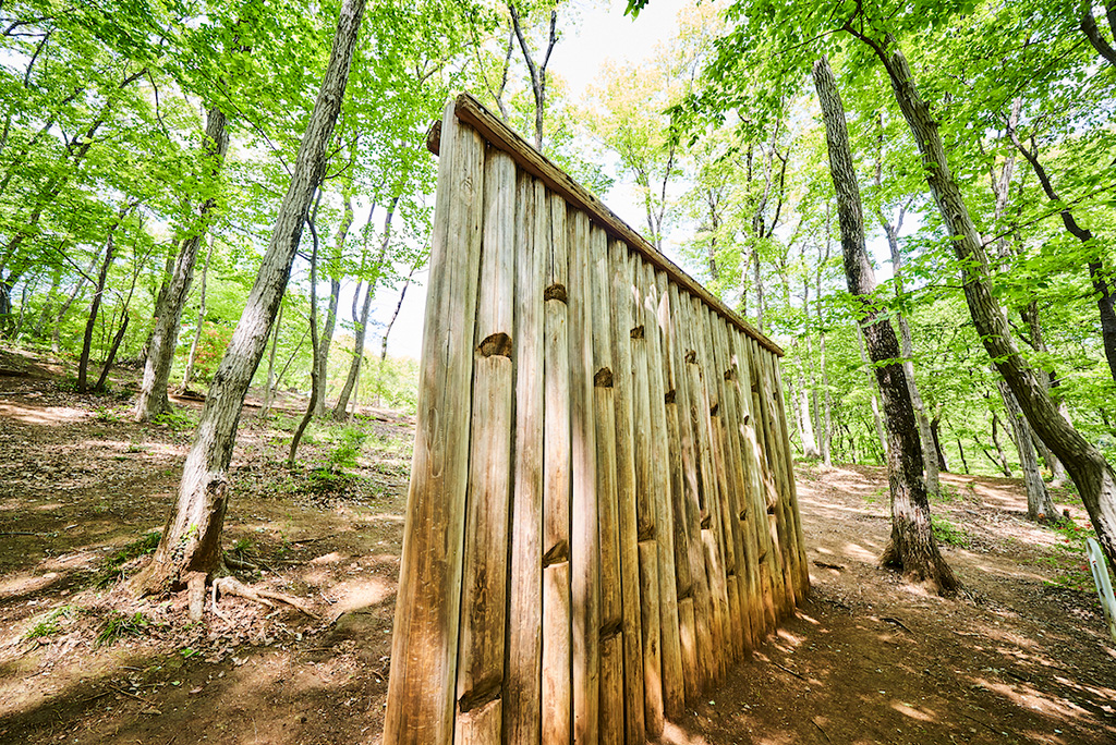 「にんじゃのかべ」/狭山緑地 フィールドアスレチック(東京都/東大和市)