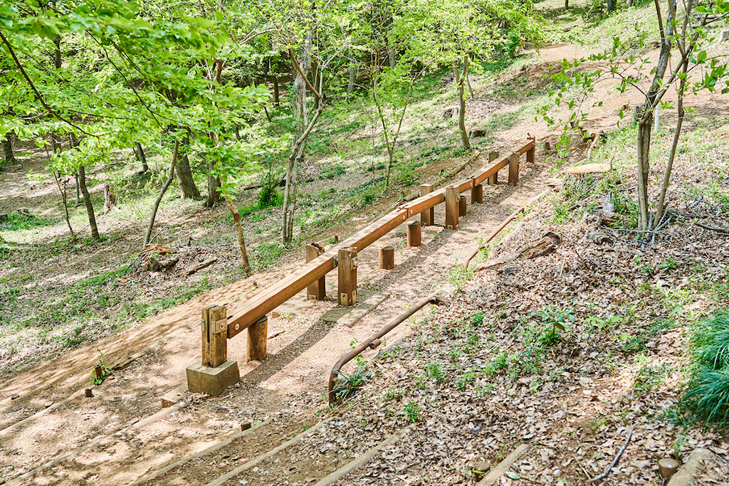 「ビックリ平均台」/狭山緑地 フィールドアスレチック(東京都/東大和市)