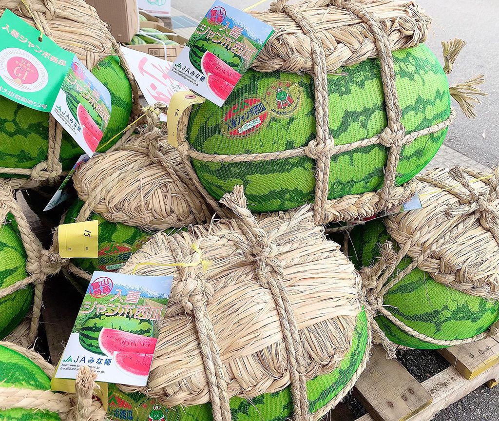 入善ジャンボスイカ