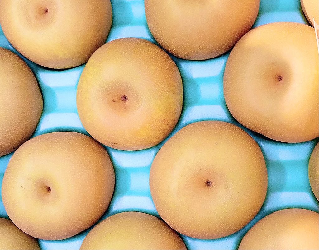 呉羽梨（くれはなし）