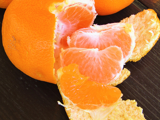 温州みかん(イメージ)/観光農園南楽園(大阪府/堺市)