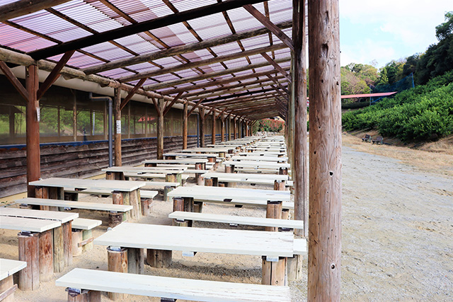 屋根付きの大きなテラス/観光農園南楽園(大阪府/堺市)