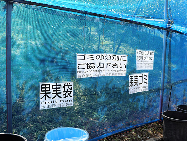 梨狩りのゴミの分別/観光農園南楽園(大阪府/堺市)