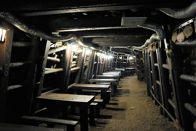 洞窟喫茶かがしの店内/観光農園南楽園(大阪府/堺市)