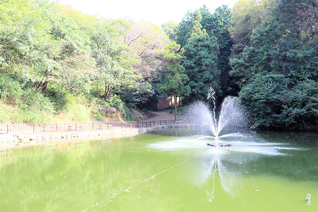 美しい噴水/観光農園南楽園(大阪府/堺市)