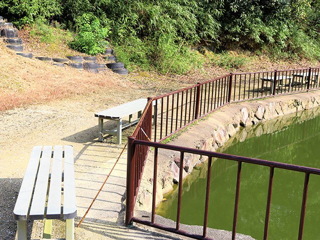 つり池/観光農園南楽園(大阪府/堺市)