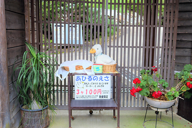アヒルの餌/観光農園南楽園(大阪府/堺市)